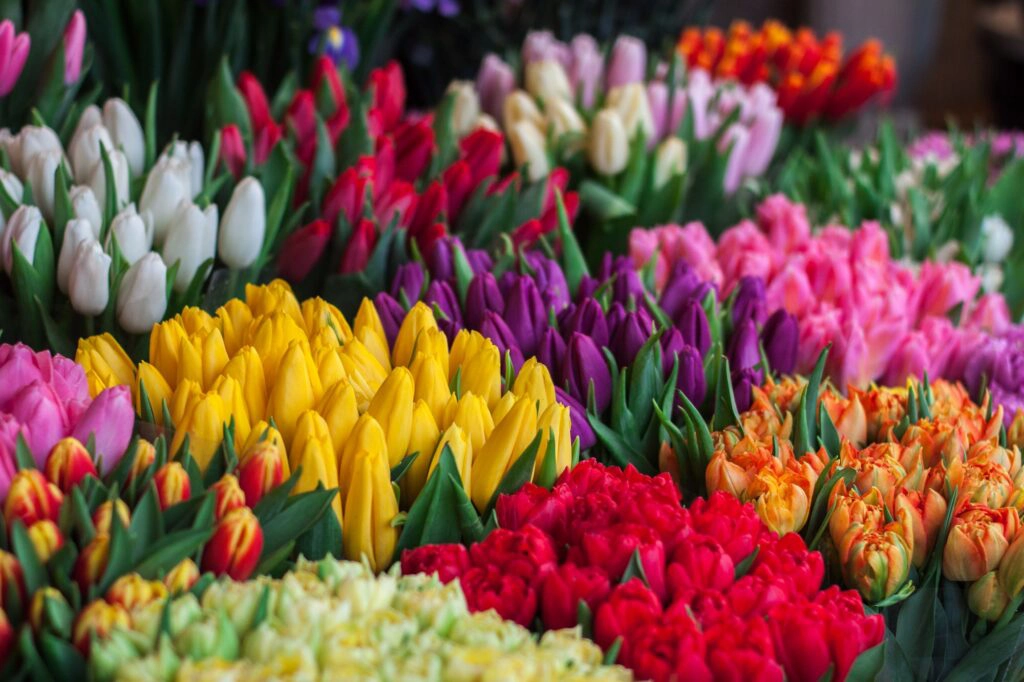 De beste manier om bloemen te vervoeren
