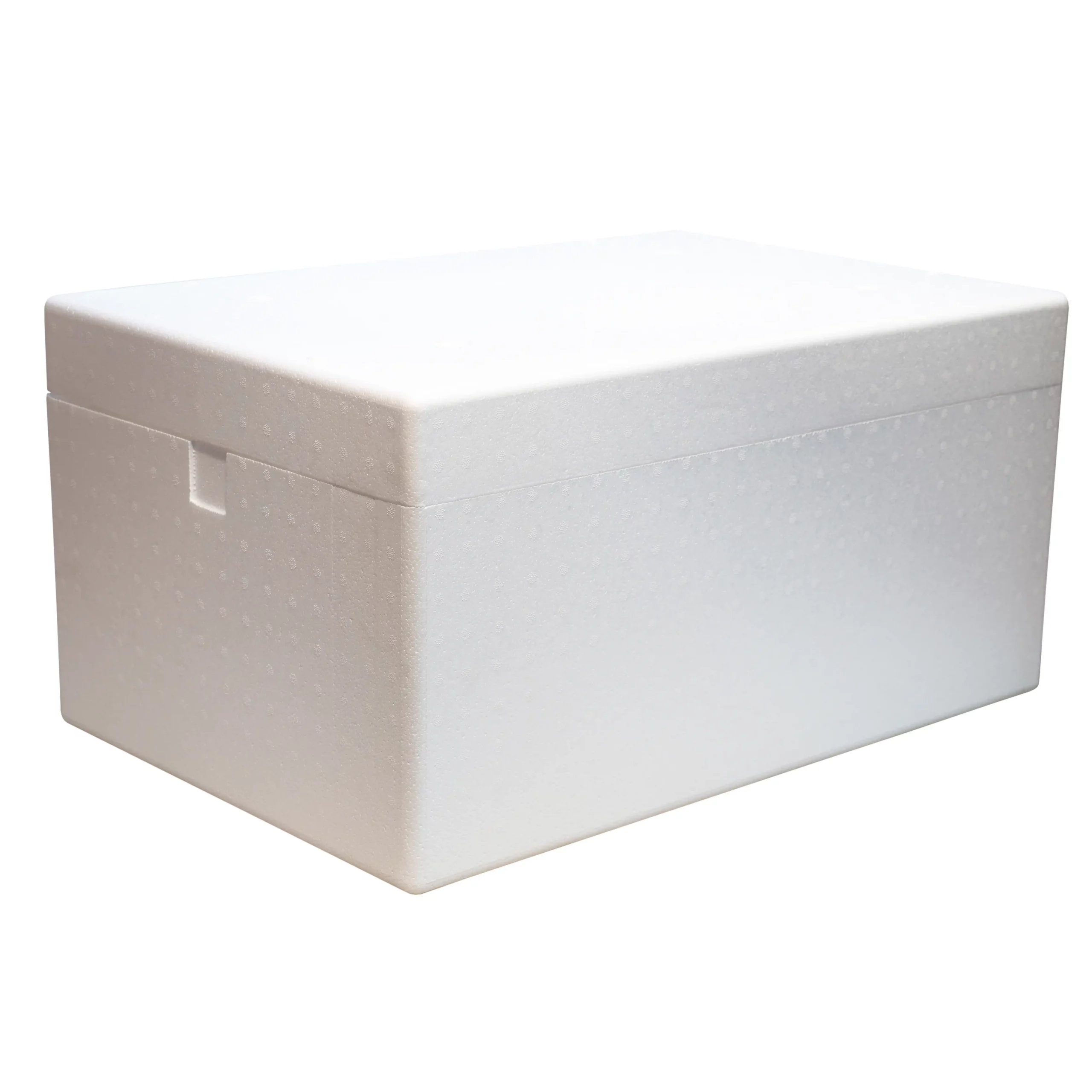 Polystyrene Box/Thermal Box - 26.0 Litres - 55 x 32 x 27 cm / Wall  Thickness 3 cm - Styrobox