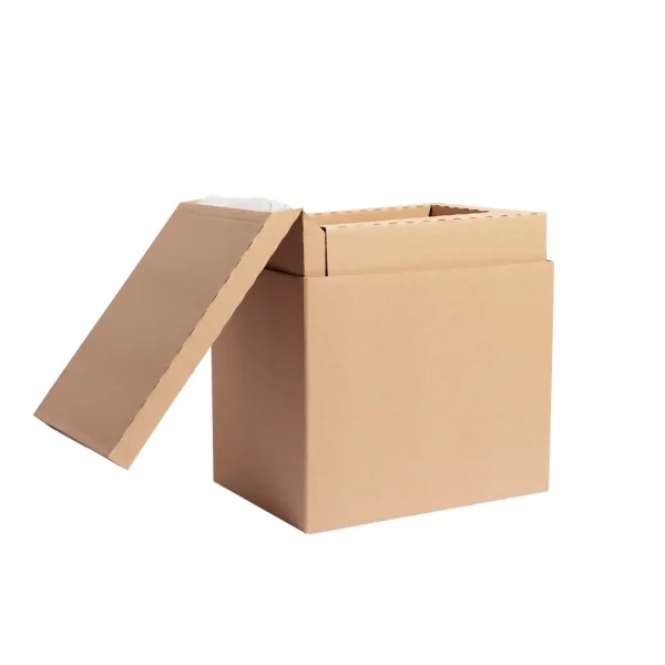 EcoCoolBox Small 8L