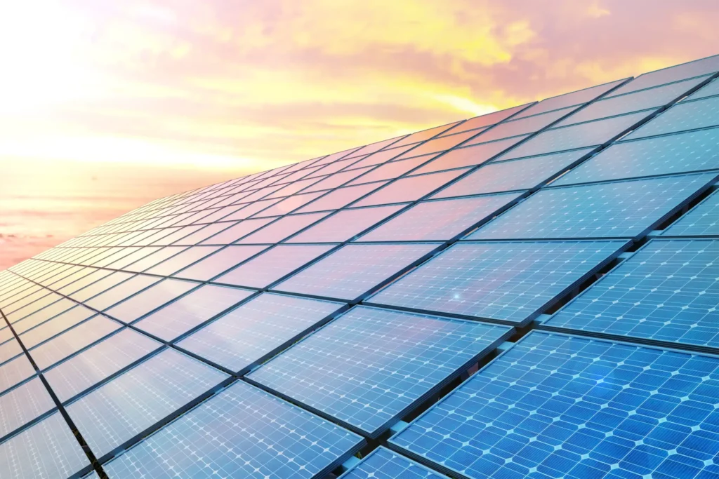 De Ridder BV en Coolpack bedekken dak met 784 zonnepanelen
