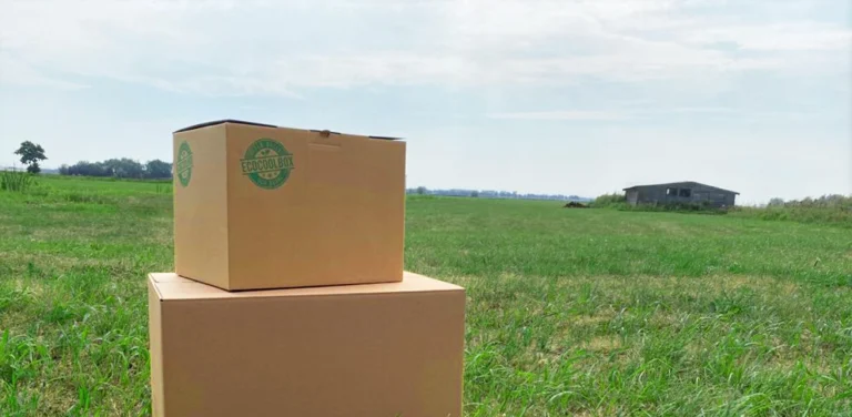 Sustainable packaging- a step toward a greener future