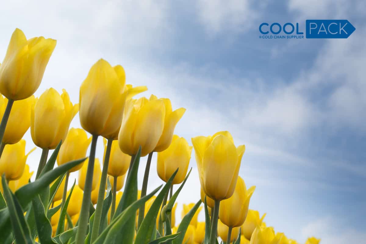 Navigeren door de nieuwe Britse grensinspecties implicaties voor Nederlandse bloemen- en plantenexport