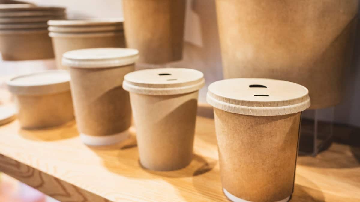 Biologisch afbreekbare verpakkingen_ wat werkt en wat niet